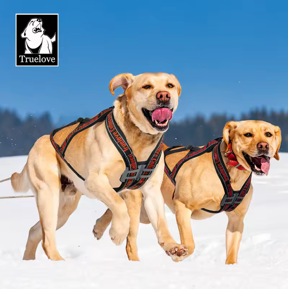 Sled Series Cargo Harness – Das perfekte Zuggeschirr für sportliche Hunde