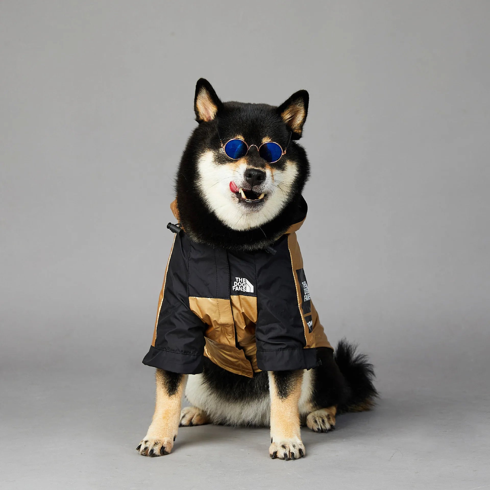 Close-up of dog raincoat with adjustable straps, shown in six color options