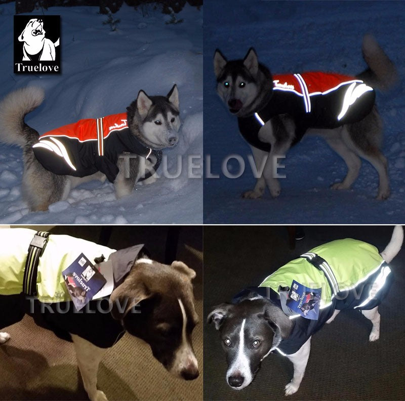 Truelove Wasserdicht Reflektierende Streifen Hund Mantel Weste Outdoor Walking Dog Regenmantel Nylon Pet Jacke Für Alle Wetter Rasse in lager