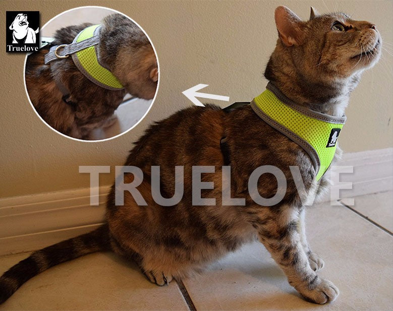 Truelove Welpen Katze Haustier Hund Harness Atmungsaktive Mesh Nylon Hund Harness Strap Weiche Weste Kragen Für Kleine Medium Hund 8 farbe