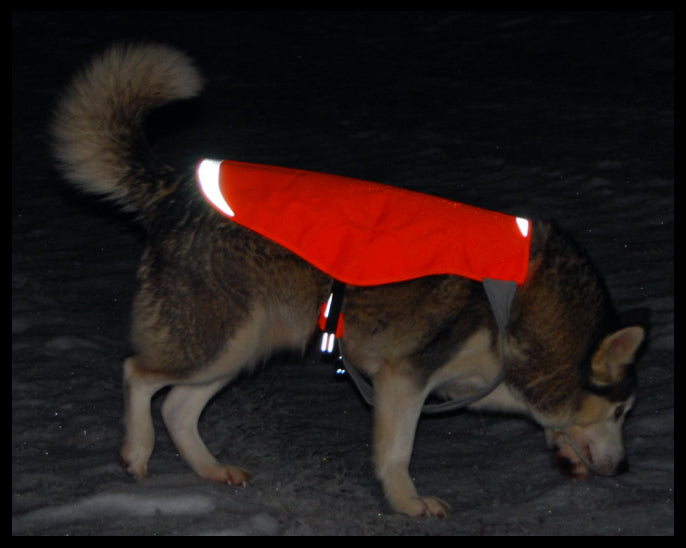 Truelove Hund Track Jacke Sommer Wasserdichte 1000D CORDURA Nacht Reflexion Kühlen Komfortabel Umwelt dropshipping TLG2681