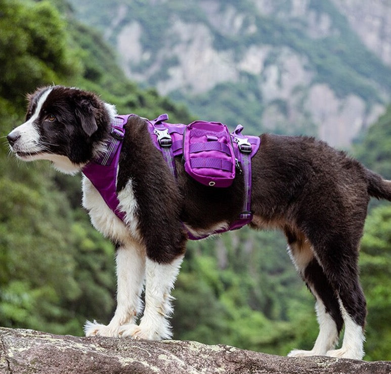 TRUELOVE Pet Harness Tasche CORDURA Hohe Taktische Ausbildung Military Rucksack Service Hund Harness mit Wasserdichte Stoff YH1806