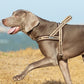 Truelove Pet Harness Neopren Padded Keine Pull Hund Harness Pet Liefert TLH58121