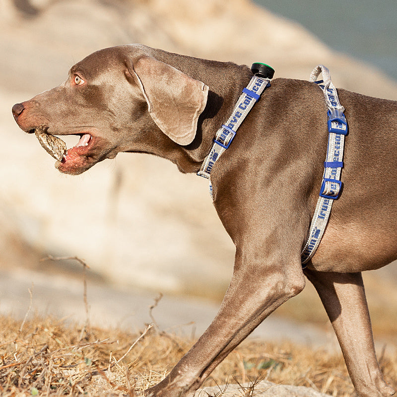 Truelove Pet Harness Keine Pull Taktische Service Pet Aufzug Atmungsaktive Mesh Reflektierende Sport Padded Hund Harness Weste TLH6172