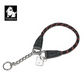 Truelove Pet P-Kette Nylon Hund Kragen Edelstahl Kette Pull-beständig Reflektierende Dekorative Explosion-proof Walking TLC5373