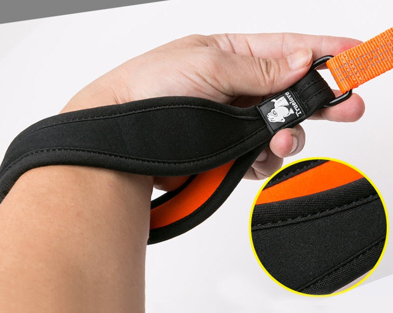 Truelove Pet Nylon Reflektierende Leine verwendet harness und kragen Für Kleine Big Alle Rasse Ausbildung Rennen Gehen TLL2771