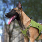 Truelove Hunde rucksack Haustier geschirr Hersteller verstellbarer taktischer Griff Ganzkörper-Hunde weste für Wander training im Freien tlb2251