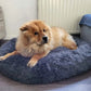 Super flauschiges hundebett, dog bed, true love for dogs Round cozy dog bed with plush fabric, providing comfort and warmth