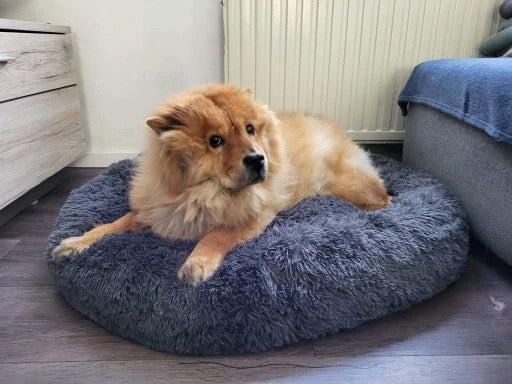 Super flauschiges hundebett, dog bed, true love for dogs Round cozy dog bed with plush fabric, providing comfort and warmth