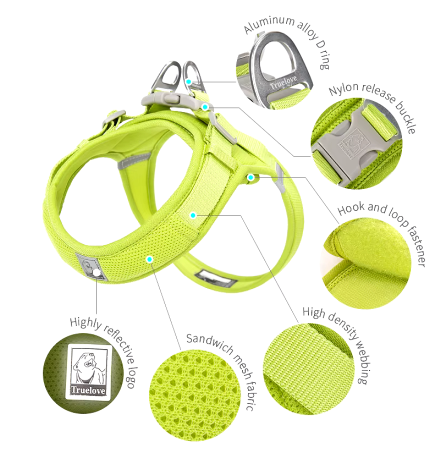 Close-up of stylish dog harness with metal rings for leash attachment