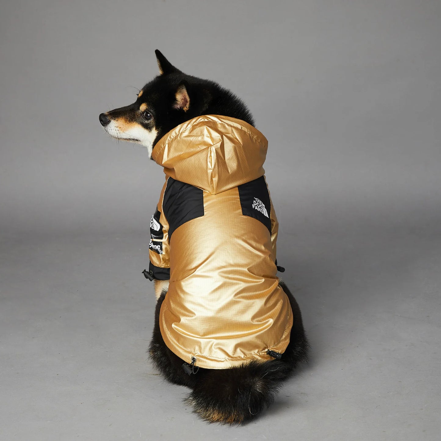 Close-up of dog raincoat with adjustable straps, shown in six color options