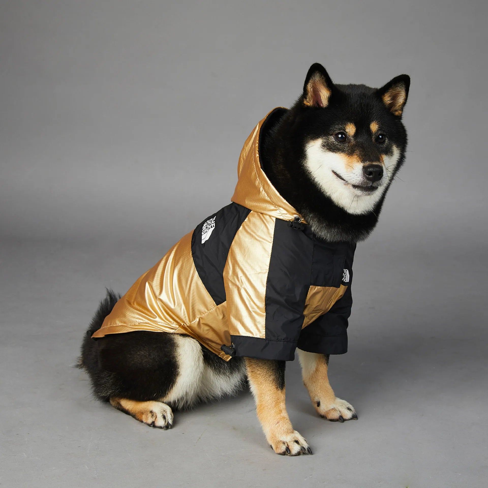 Close-up of dog raincoat with adjustable straps, shown in six color options