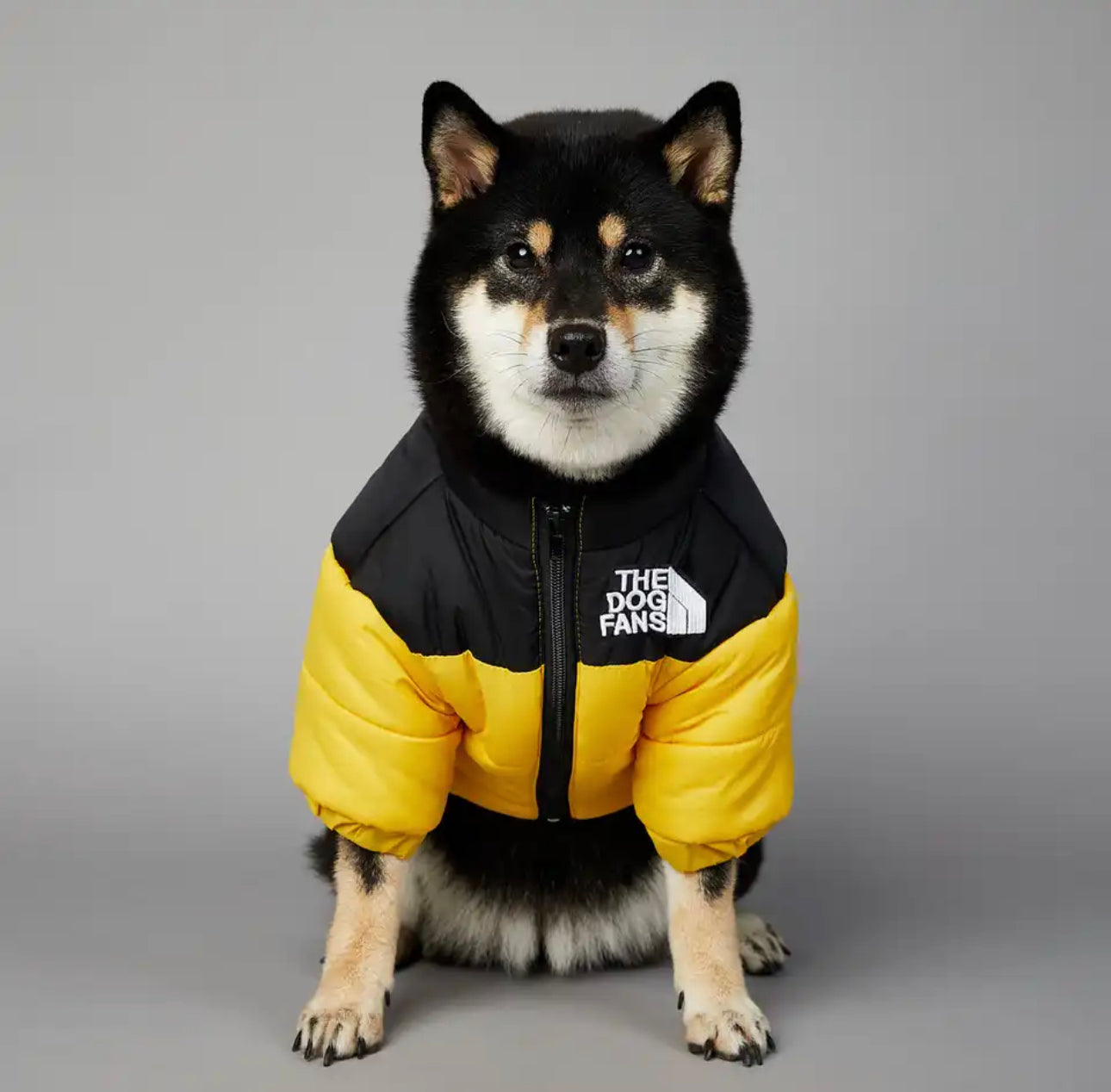Hundedaunenjacke, Dobermann, Wald, Forest, dog jacket, northern face, husky, true love, for dogs