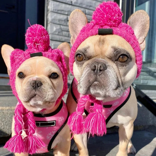 Warmhaltende gestrickte Hundemütze, Frenchie, French bulldog, true love for dogs, Pink, grau,