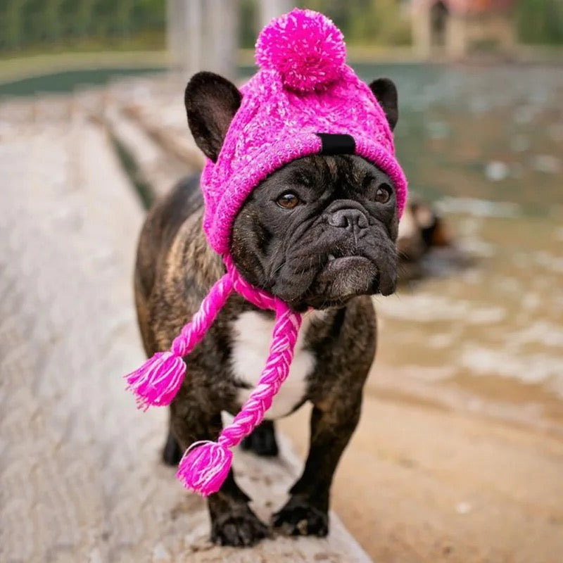 Warmhaltende gestrickte Hundemütze, Frenchie, French bulldog, true love for dogs, Pink, grau,