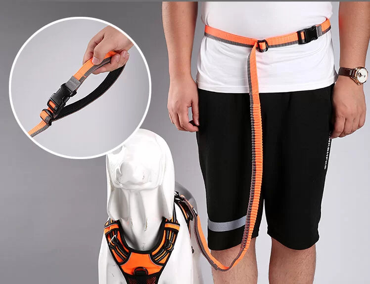 Truelove Hund Laufende Bungee Leine hand Waistworn Einstellbare Nylon Elastische Versenkbare Hund Führt für Lauf Jogging Walking