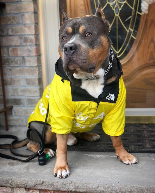 Wasserdichte Hundejacke mit Kapuze „Reward of Treats“