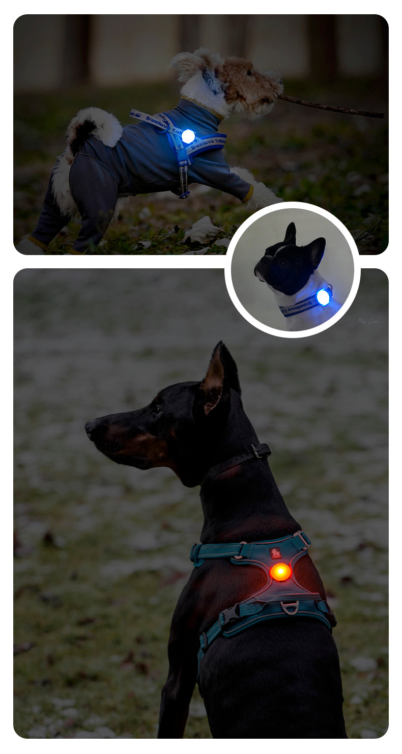 Truelove led light usb wiederauf ladbarer blitz hund 3 licht modi ip65 wasserdicht macht ihre geliebten hunde nachts gesehen tld19103