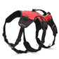 Truelove Pet Rucksack Träger Harness und Tasche Raum Wasserdichte Abnehmbare Große Zwei Verwendet für Outdoor Walking HikingTLB2051