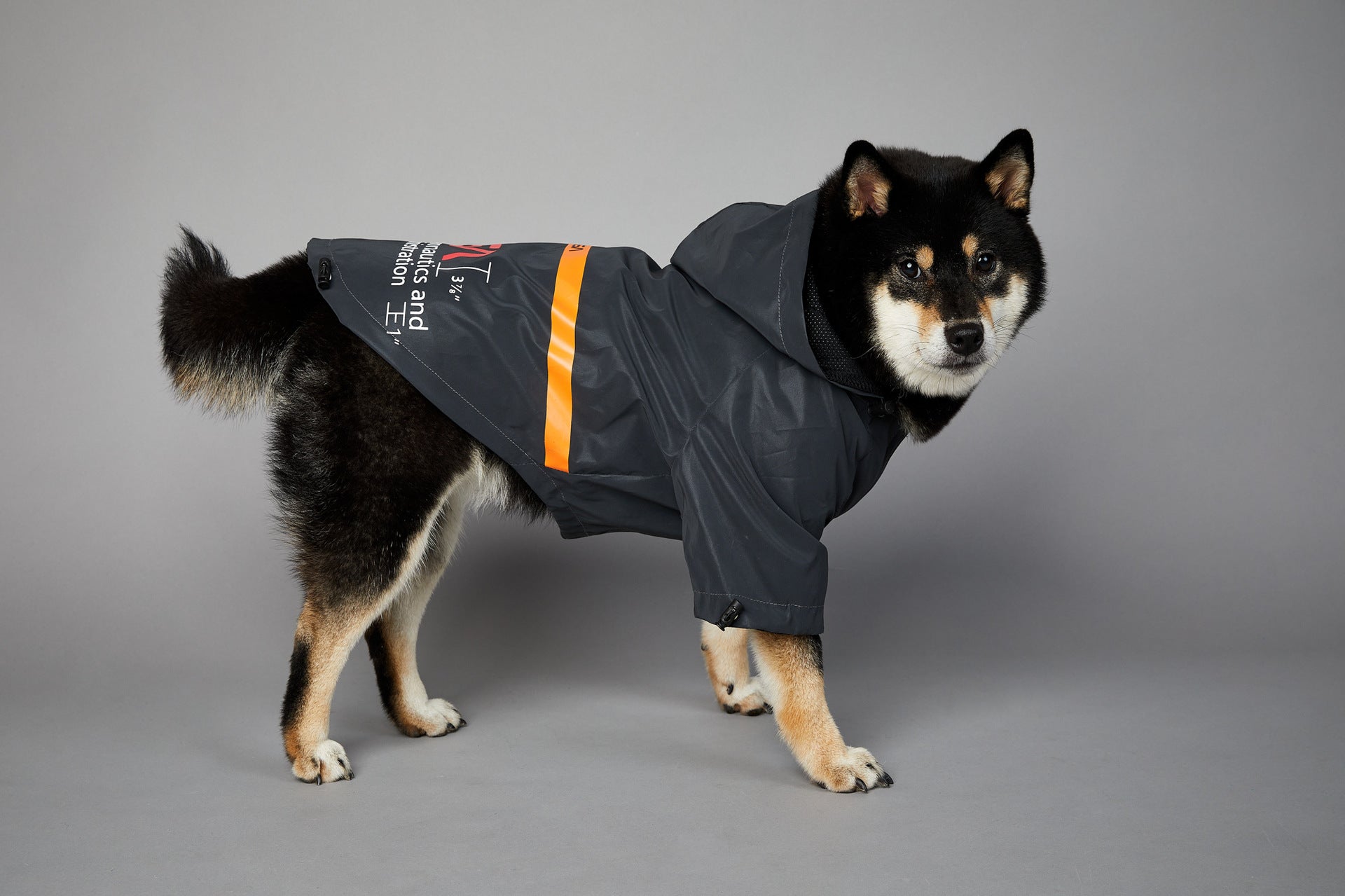 In unserem luxuriösen Regenmantel sieht Ihr Hund aus wie ein echter Astronaut - bereit für Weltraumspaziergänge und Spaziergänge im Regen! 🌧️🐾 #LuxusHundekleidung #Hundebekleidung #SpaceSuit #HundeKostüm