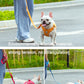 Truelove Umweltfreundliche Hund Seil Leine Recycelt Materialien Quick Release Atmungsaktive Komfortable Polyester Hund Zu Fuß TLL3073