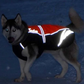 Truelove Wasserdicht Hund Winter Mantel Weste Außen Reflektierende Warmen Pet Jacke Kleidung Für Große Kleine Hunde auf lager Heißer