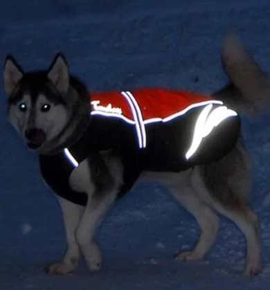 Truelove Wasserdicht Hund Winter Mantel Weste Außen Reflektierende Warmen Pet Jacke Kleidung Für Große Kleine Hunde auf lager Heißer