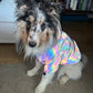 Rainbow Reflektierende Hundejacke mit Kapuze