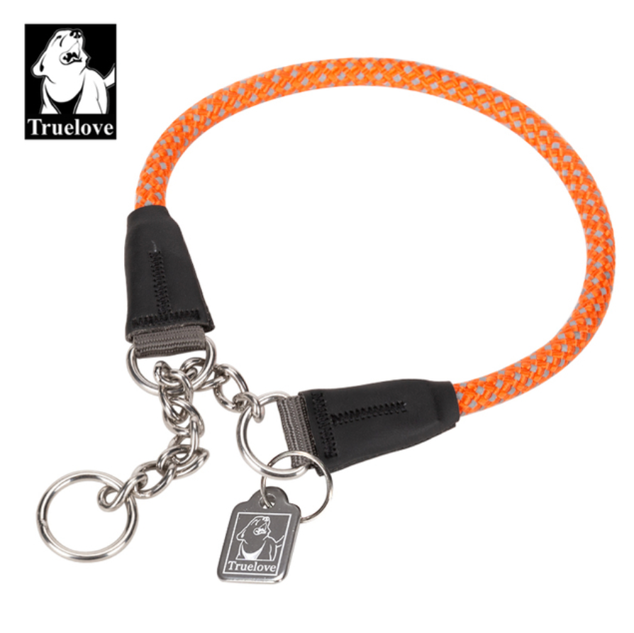 Reflektierendes Hundehalsband mit Kettenzugstop V1