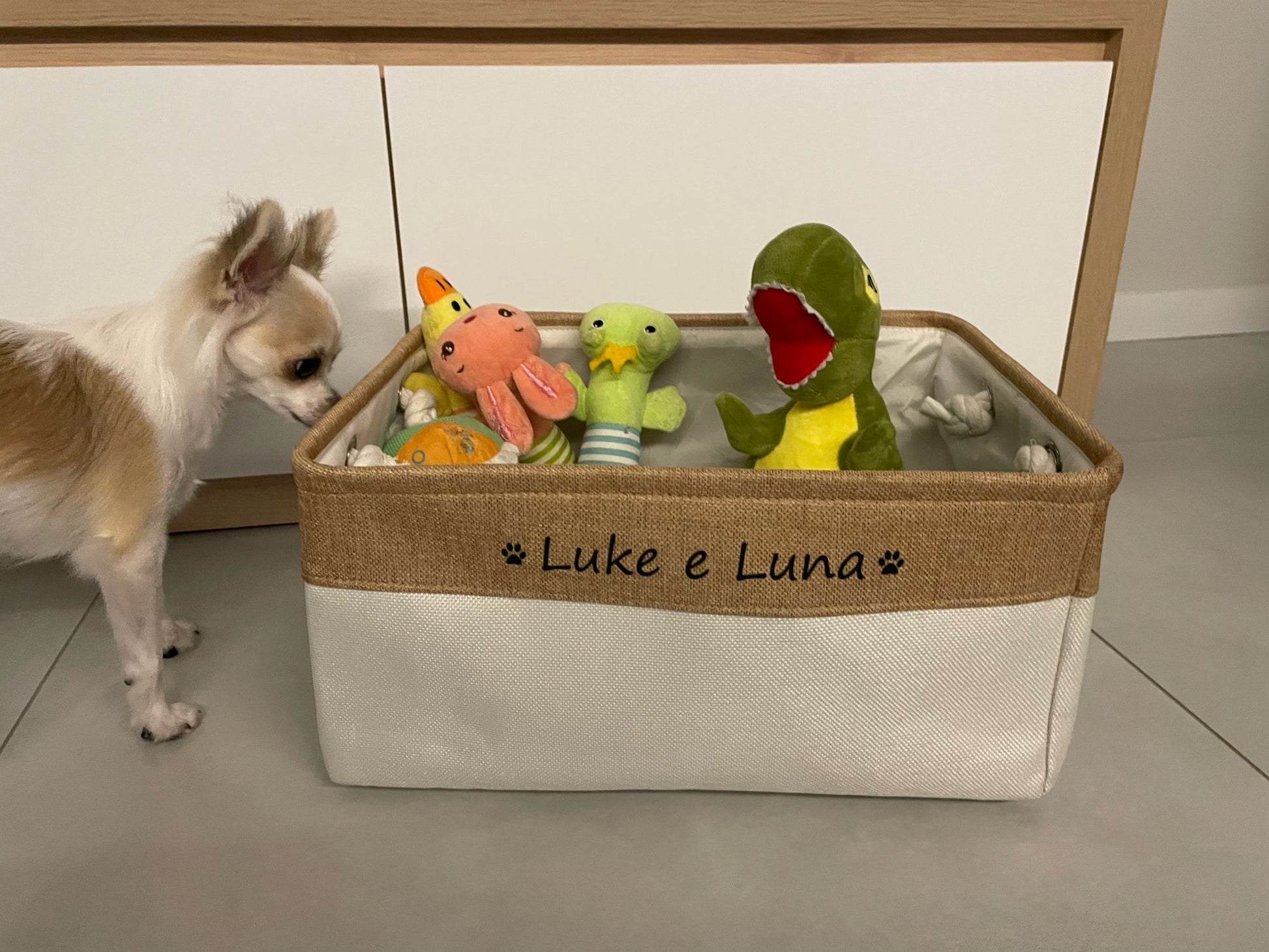 Personalisierter Spielzeugkorb / Box für Zubehör Hund Haustier